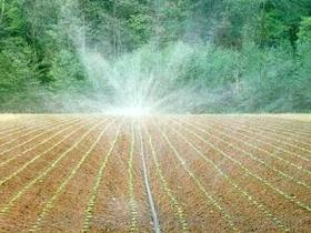 灌溉 微喷带价格