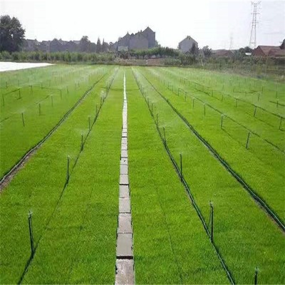 【金源 农业节水喷灌设备 草坪绿化灌溉浇水旋转喷头 喷灌系统灌溉工具