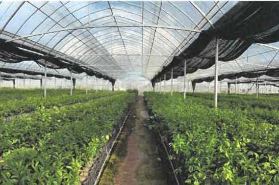 打卡 衢州又一批研学基地公布,解锁新玩法
