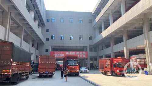 重庆加强农产品批发市场统筹调配 力保全市蔬菜水果有效供应