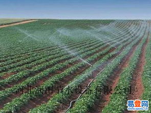 【大同市盂县玉米zy-2大喷头厂家批发可零售】-大同易登网