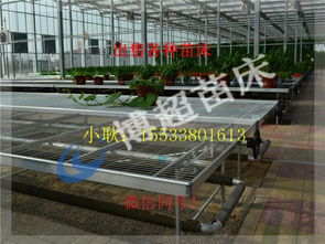 安平厂家出售移动苗床,固定苗床,苗床配件等 ,安平厂家出售移动苗床,固定苗床,苗床配件等 生产厂家,安平厂家出售移动苗床,固定苗床,苗床配件等 价格