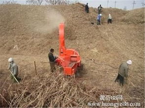 批发铡草揉丝机 畜牧设备 供应牧草铡草机