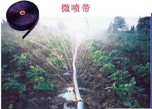 移动喷灌设备图片,移动喷灌设备高清图片 山东泰安报喜雨节水灌溉器材厂,