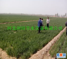 晋城市生产销售优质喷灌设备 沁水县出水带与微喷带质优价廉