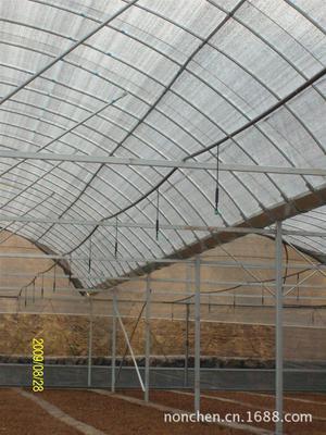 温室大棚喷雾与喷灌系统的全面解析 河北到上海的专业供应商