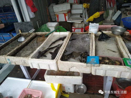 雪山片区西南角新增大型农贸批发市场与旧货市场,7月1日盛大开业——喷灌设备批发零售亮点多