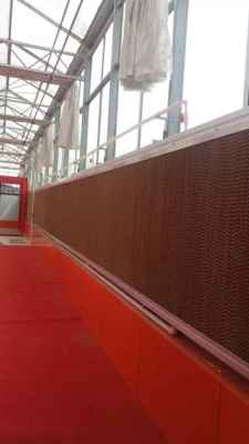 泉州高性价比厂房降温、车间降温与喷灌设备批发购买指南